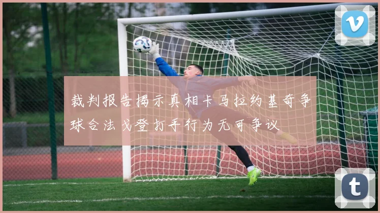 裁判报告揭示真相卡马拉约基奇争球合法戈登打手行为无可争议