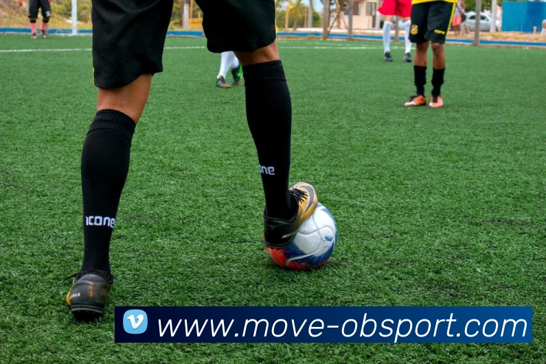 OB体育平台生态图