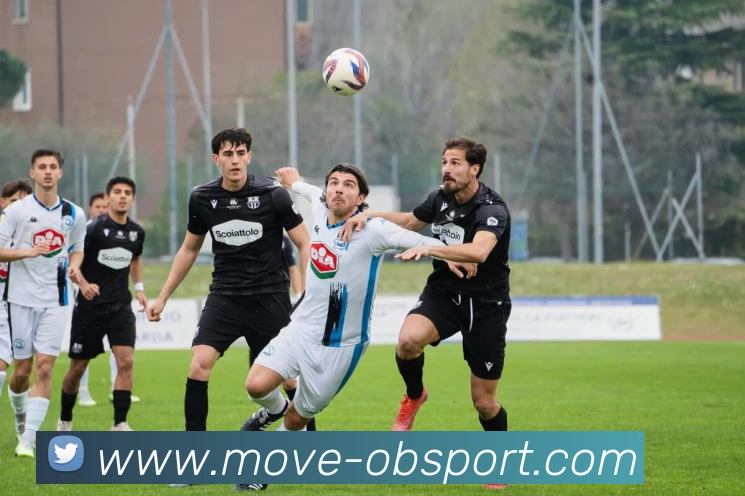 OB体育APP 封面图